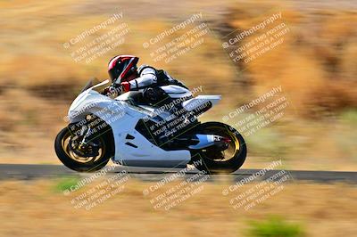 media/Jun-21-2024-2WTD (Fri) [[8bcc6986f5]]/A Group/Session 2 (Turn 2)/